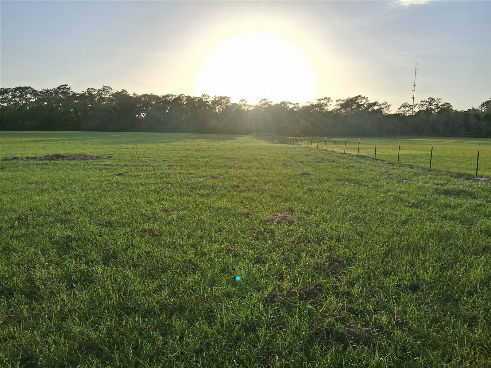 1613 NE 12TH AVE, SUMTERVILLE, FL — photo 18