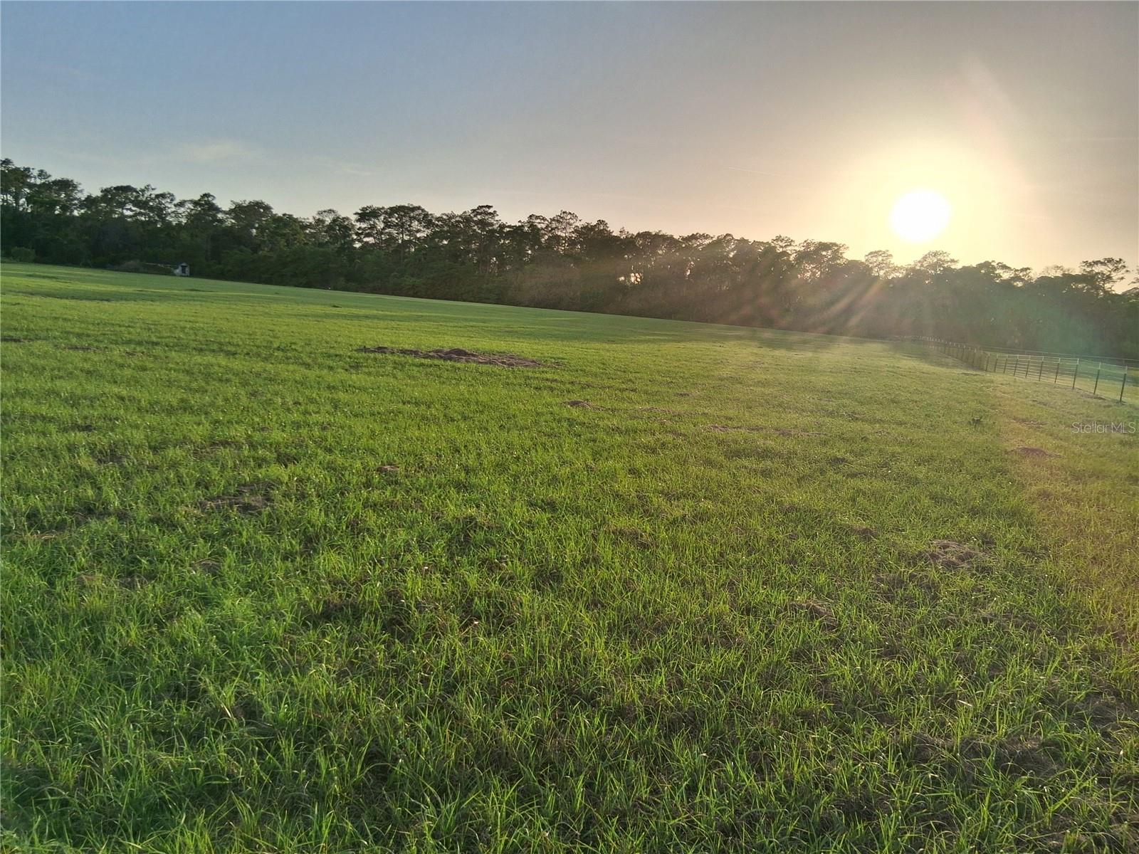 1613 NE 12TH AVE, SUMTERVILLE, FL — photo 19