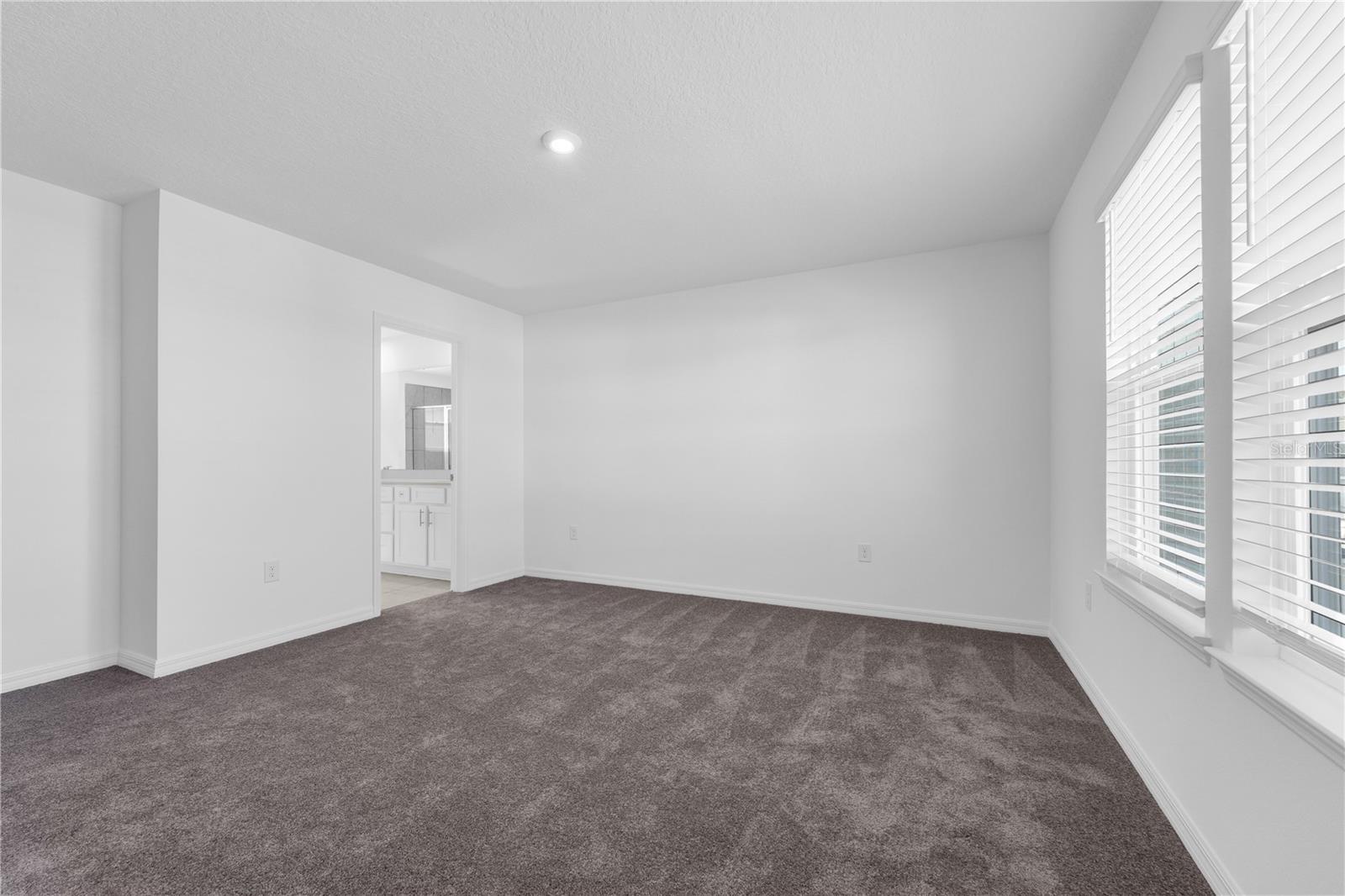 3543 SALVIA CT, TAVARES, FL — photo 57
