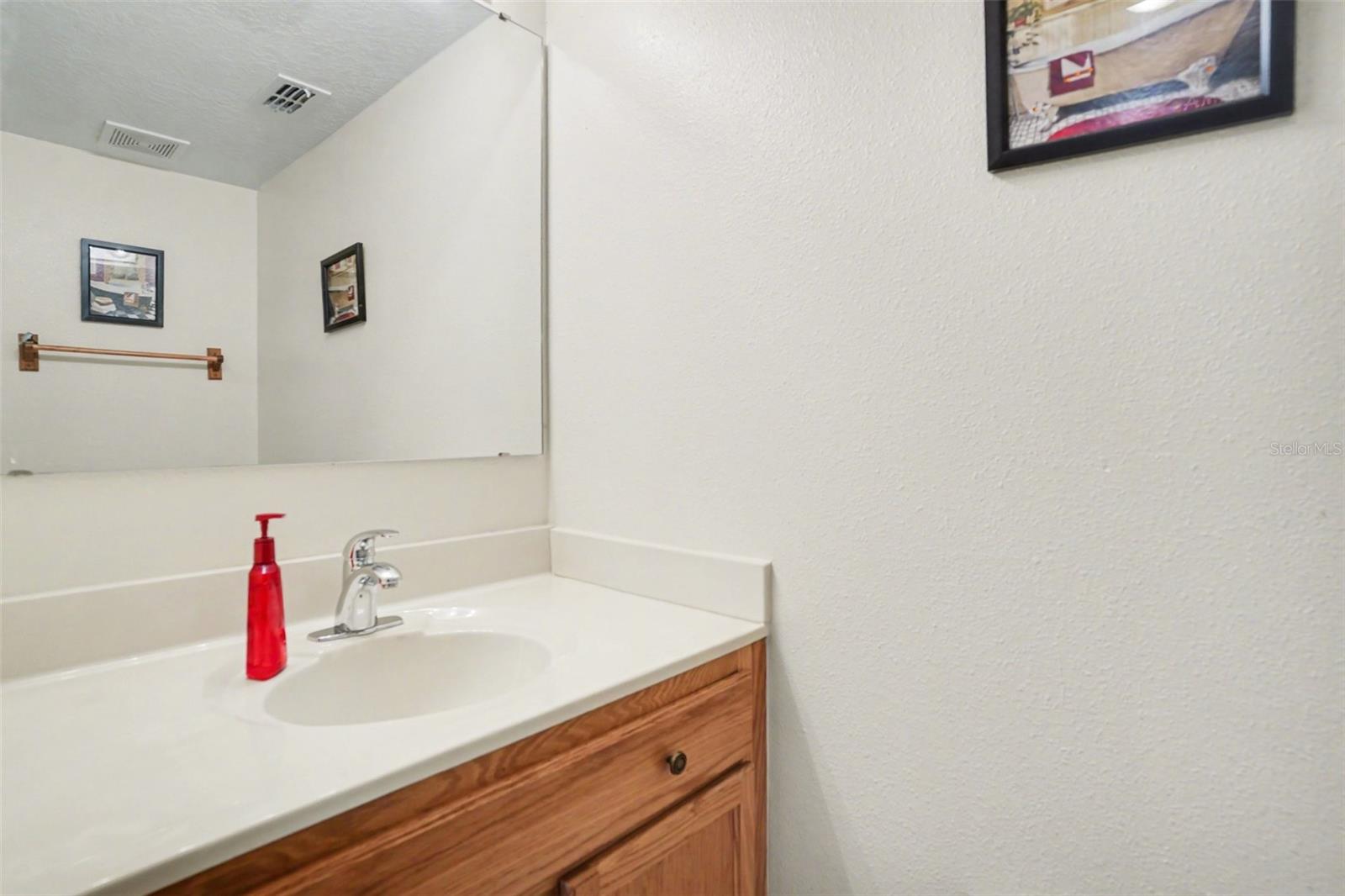 720 VALRICO HILLS LN, VALRICO, FL — photo 18
