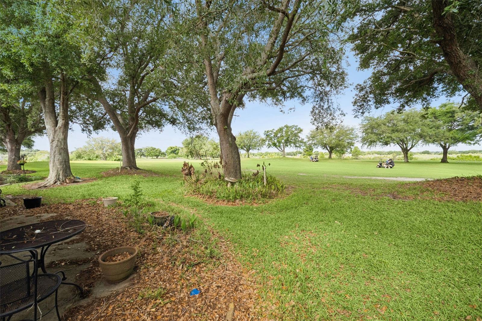 21733 ROYAL ST GEORGES LN, LEESBURG, FL — photo 49