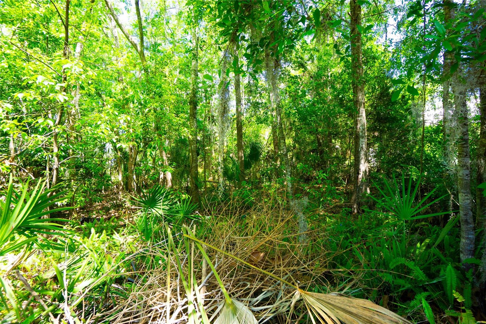 1028 COLLIER BLVD, ST AUGUSTINE, FL — photo 18