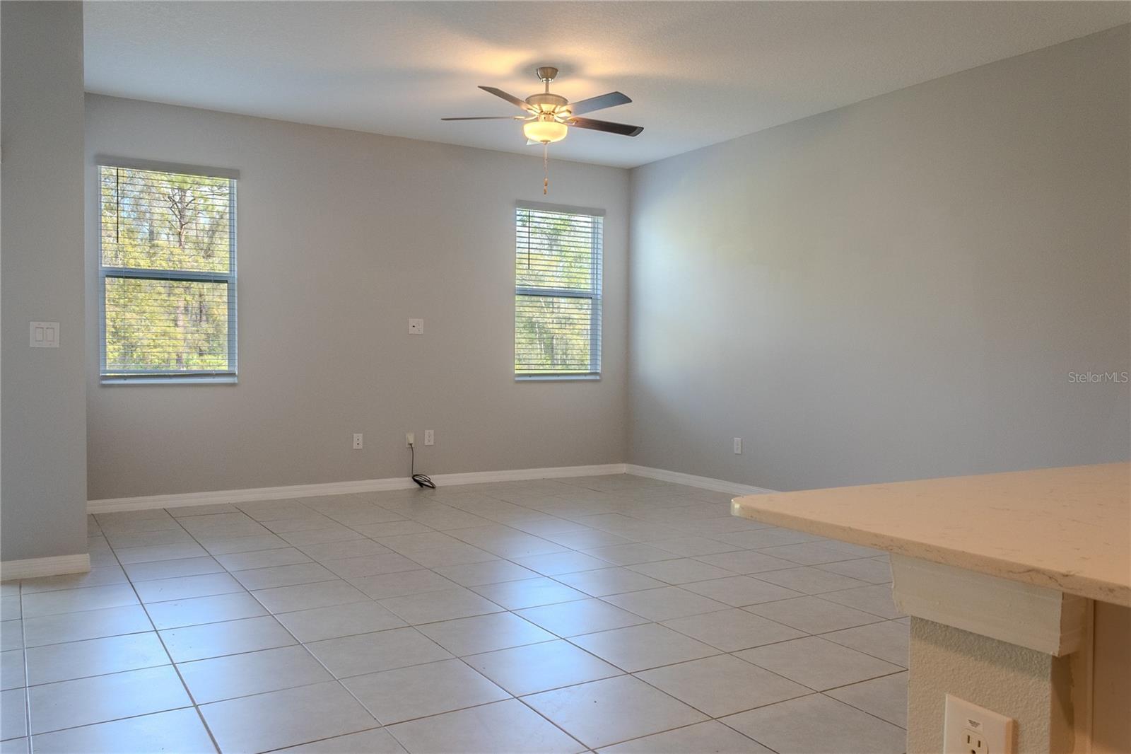 17711 NECTAR FLUME DR, LAND O LAKES, FL — photo 4