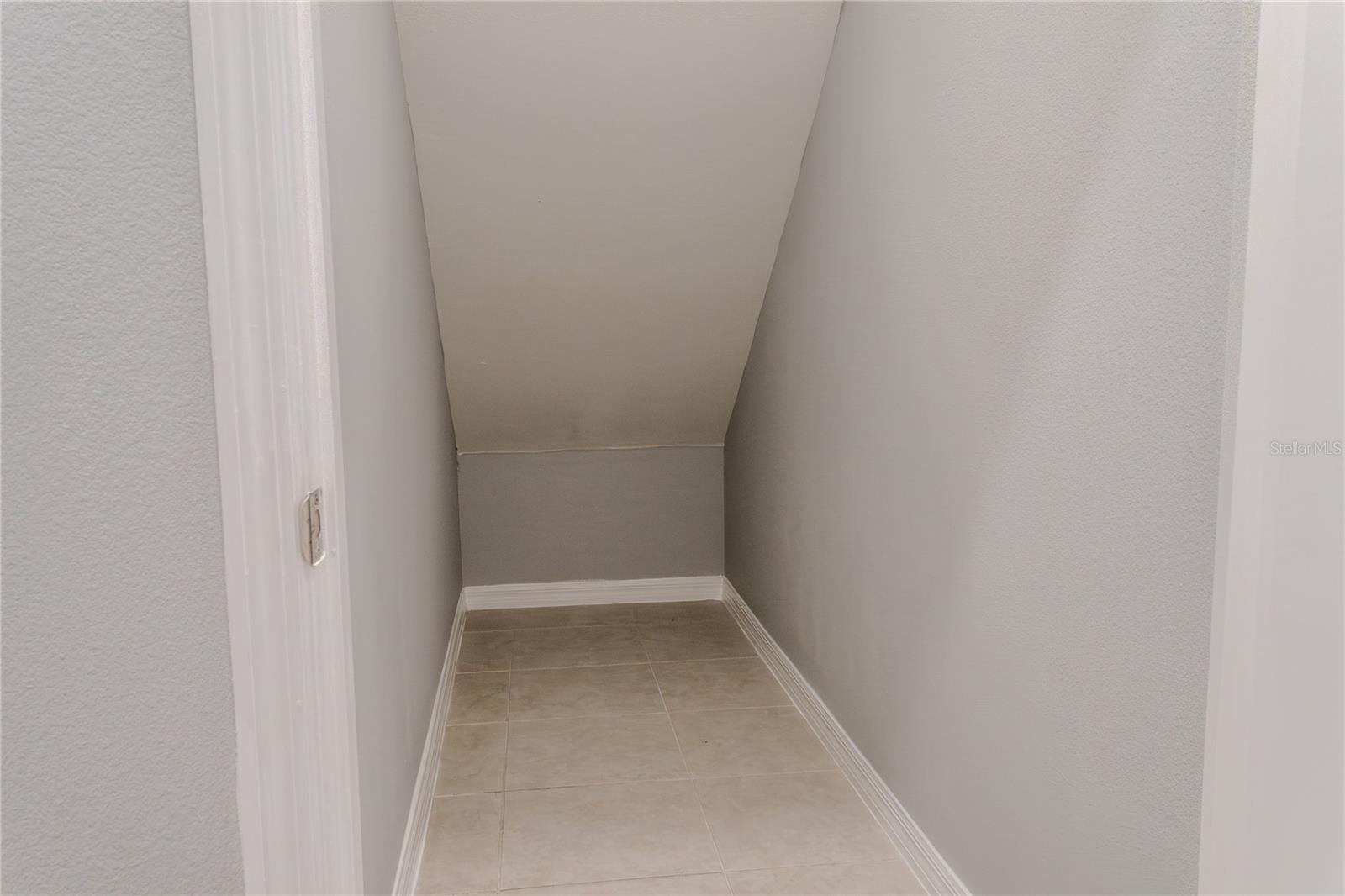 17711 NECTAR FLUME DR, LAND O LAKES, FL — photo 7