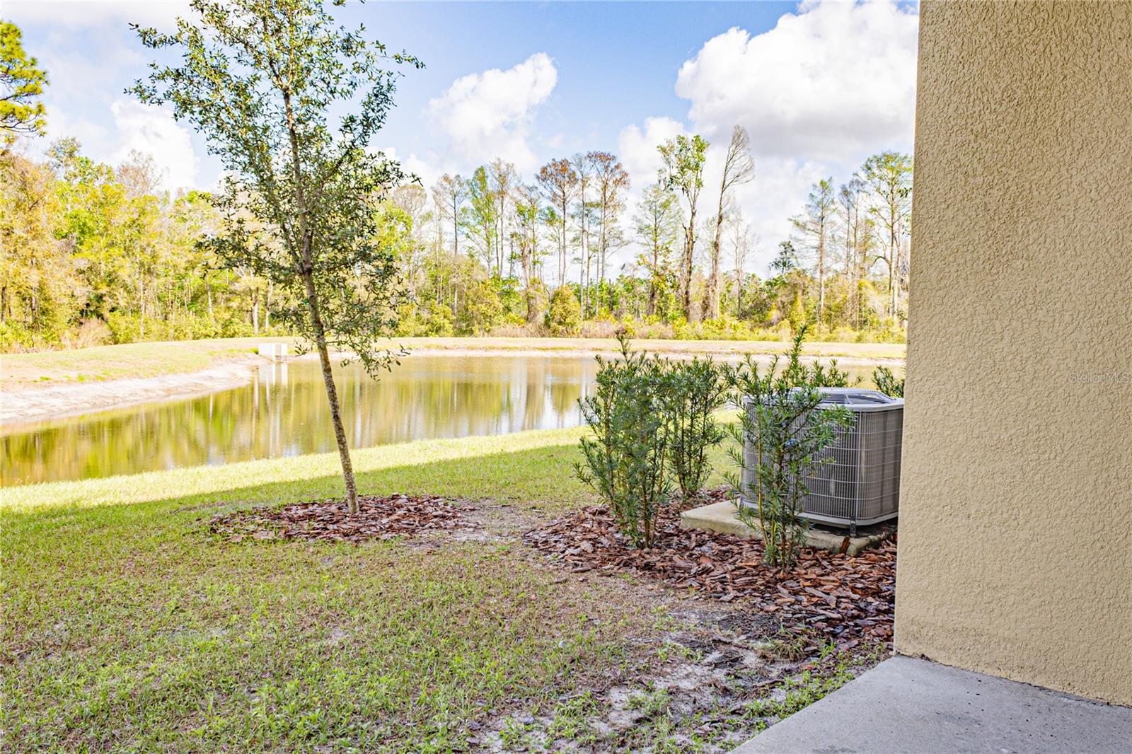 17711 NECTAR FLUME DR, LAND O LAKES, FL — photo 33