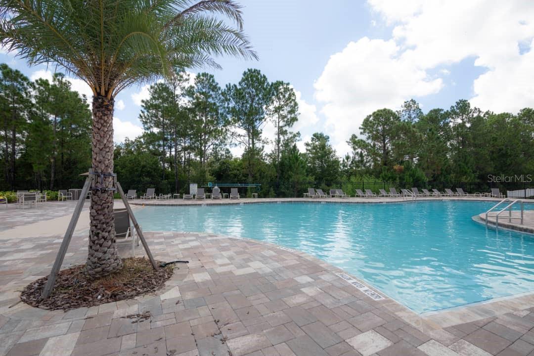 15367 GILLIGAN CT, WINTER GARDEN, FL — photo 9