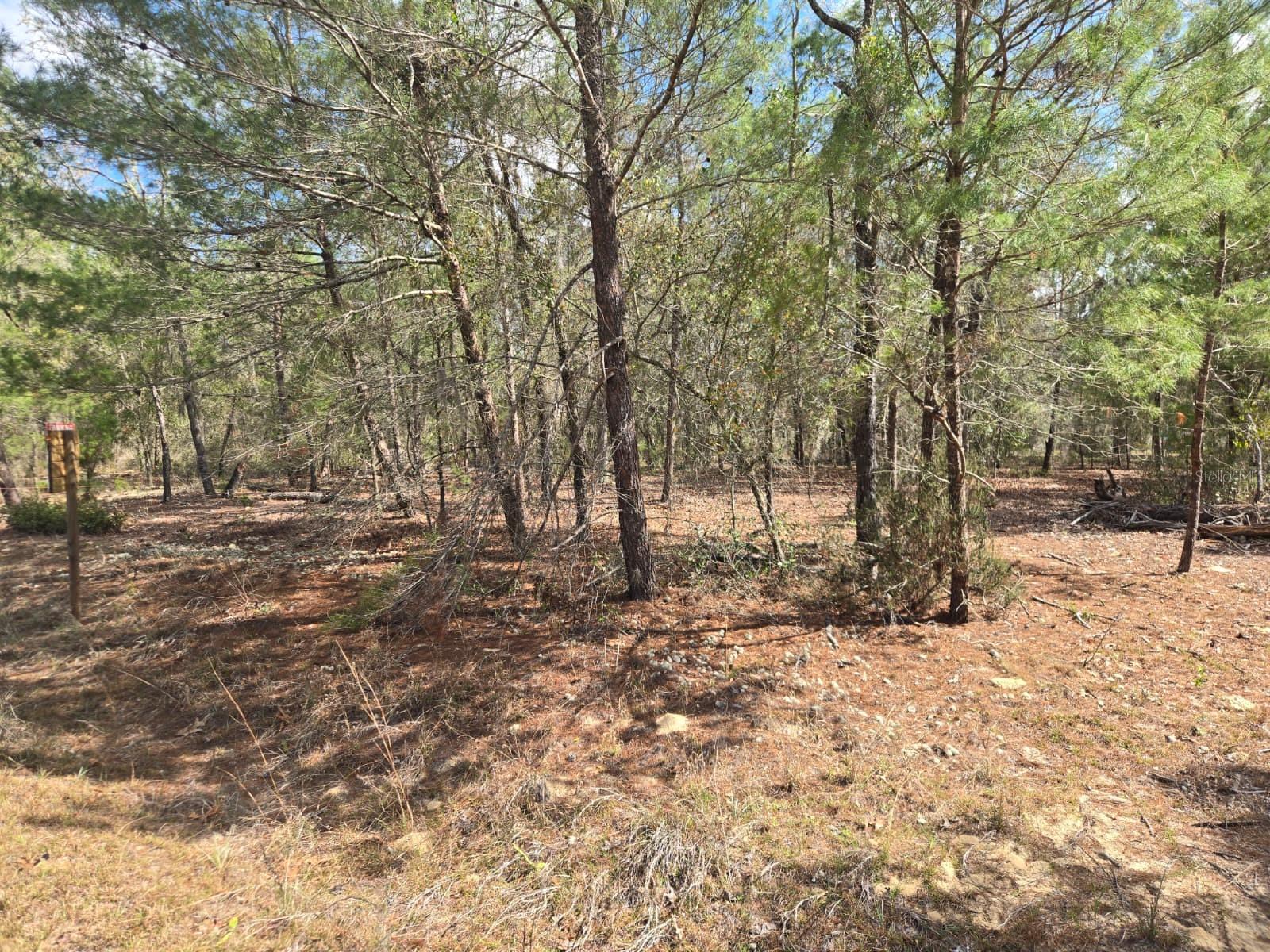 206 WALES ST, INTERLACHEN, FL — photo 4