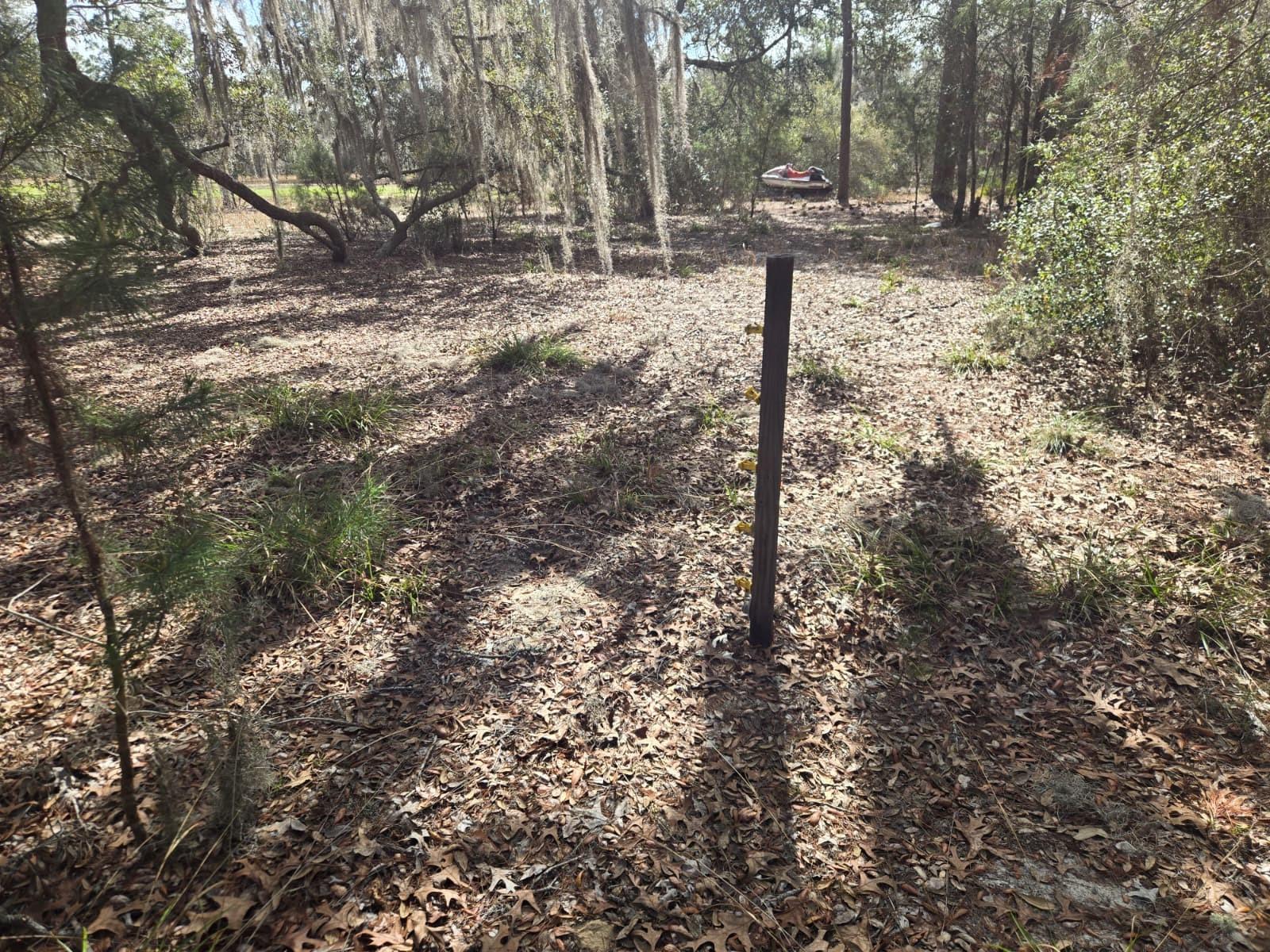 206 WALES ST, INTERLACHEN, FL — photo 7