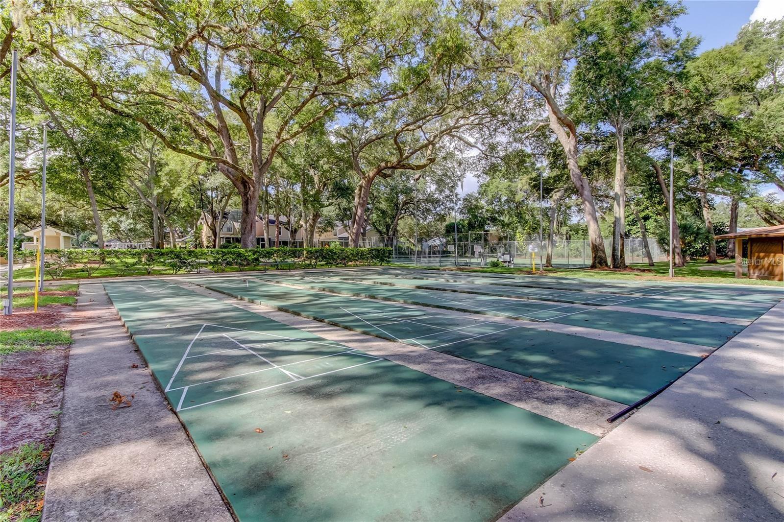 3295 FOX CHASE #105, PALM HARBOR, FL — photo 16