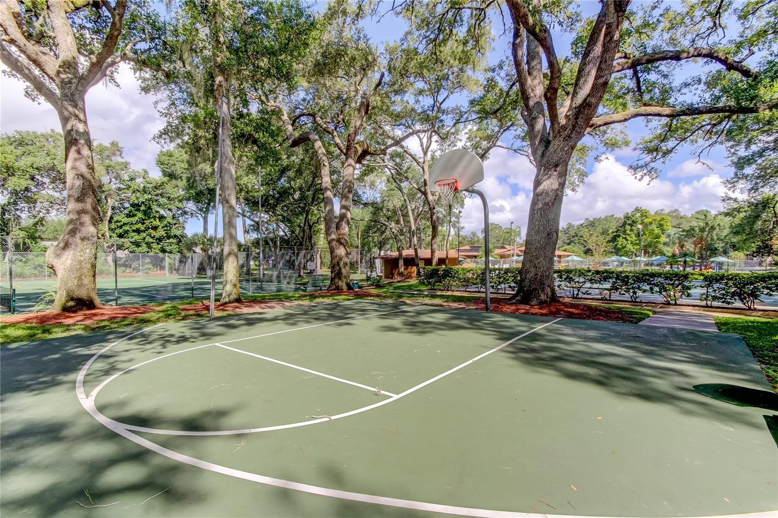 3295 FOX CHASE #105, PALM HARBOR, FL — photo 18