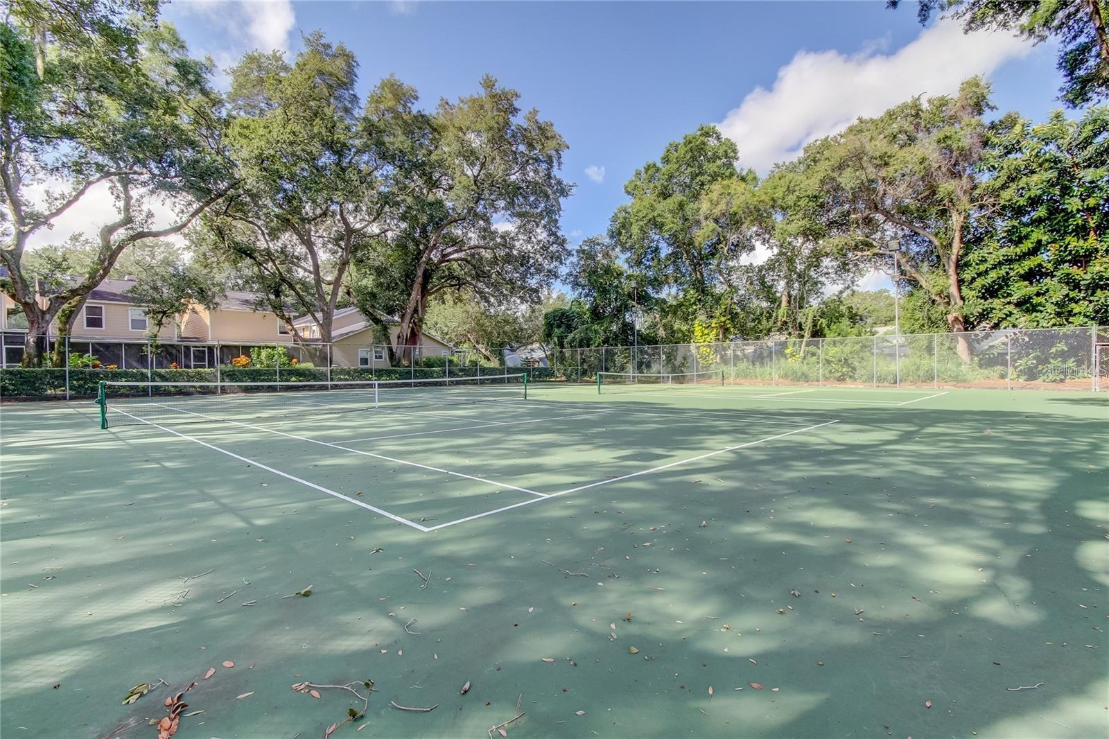3295 FOX CHASE #105, PALM HARBOR, FL — photo 21