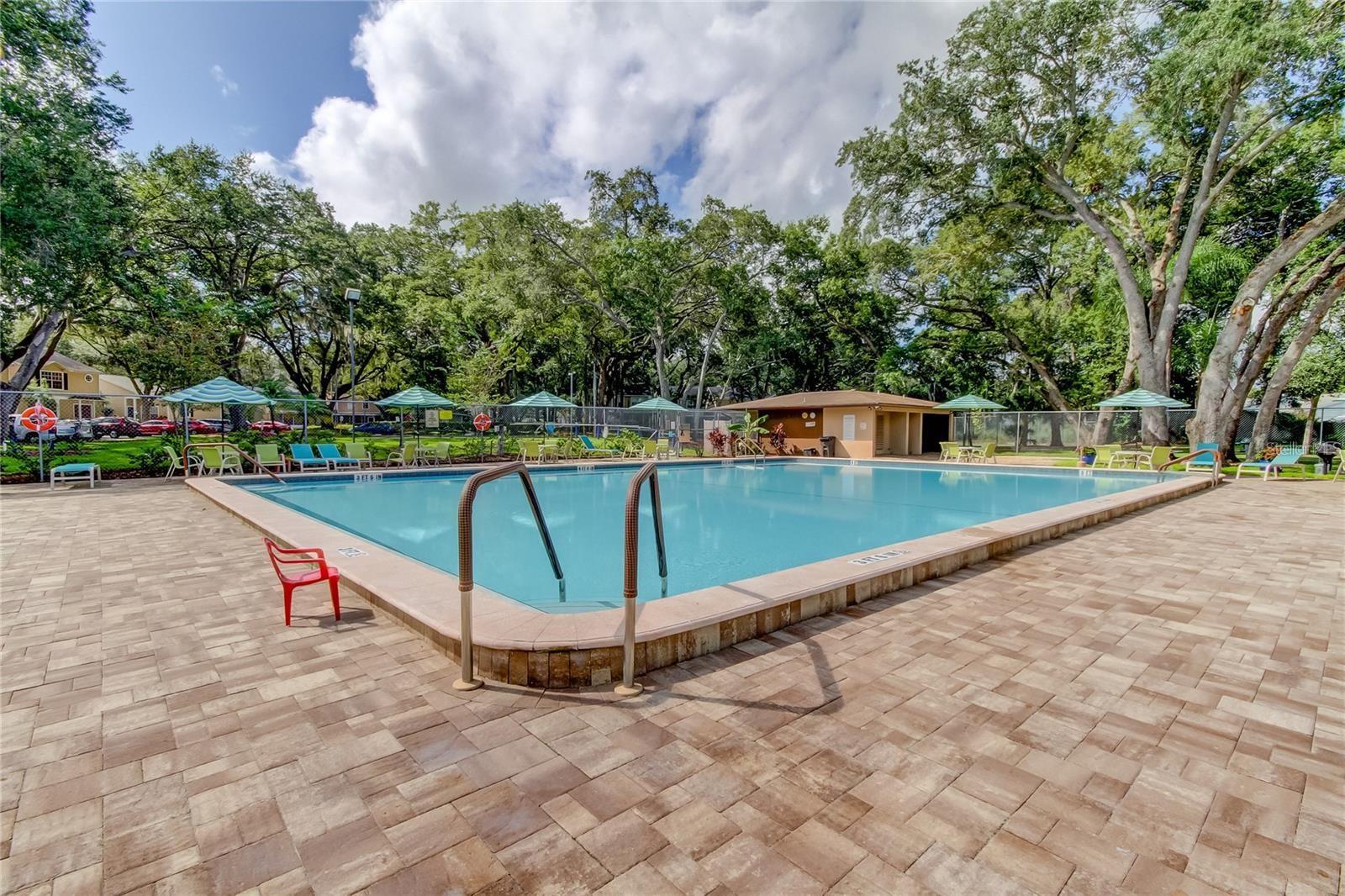 3295 FOX CHASE #105, PALM HARBOR, FL — photo 22