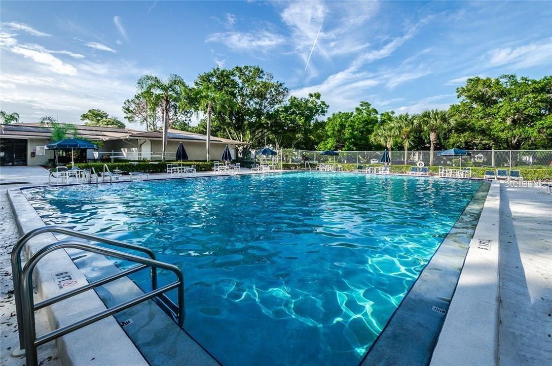 3295 FOX CHASE #105, PALM HARBOR, FL — photo 23