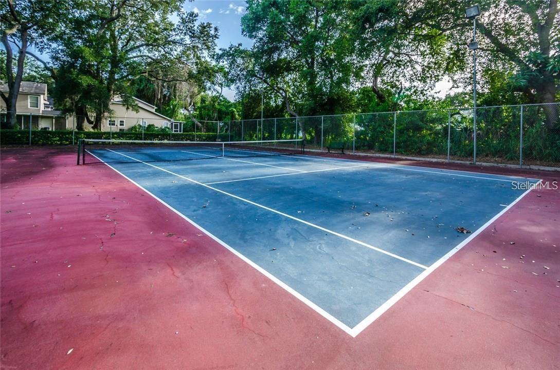 3295 FOX CHASE #105, PALM HARBOR, FL — photo 27