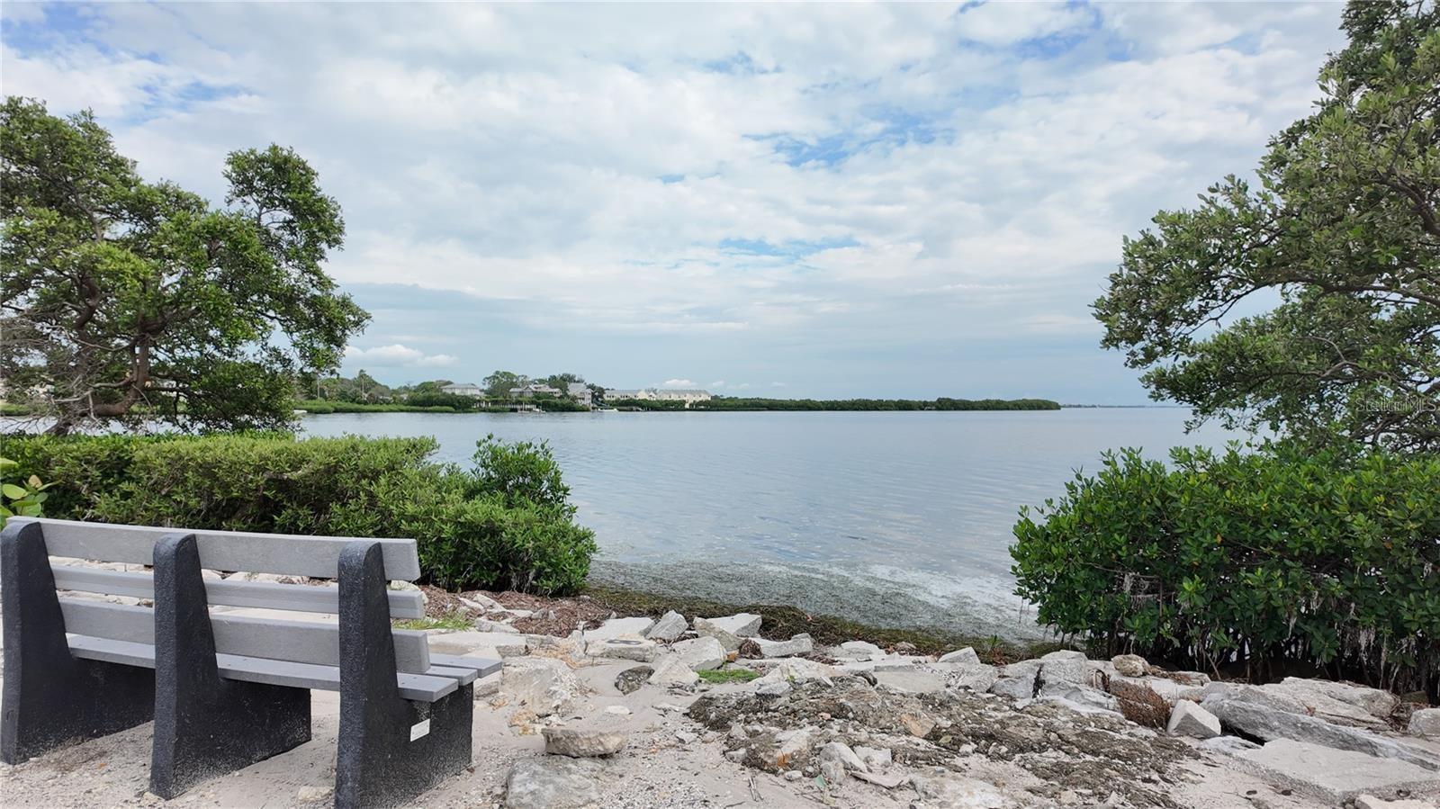 3295 FOX CHASE #105, PALM HARBOR, FL — photo 29