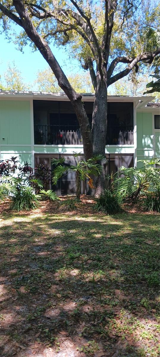 3295 FOX CHASE #105, PALM HARBOR, FL — photo 20