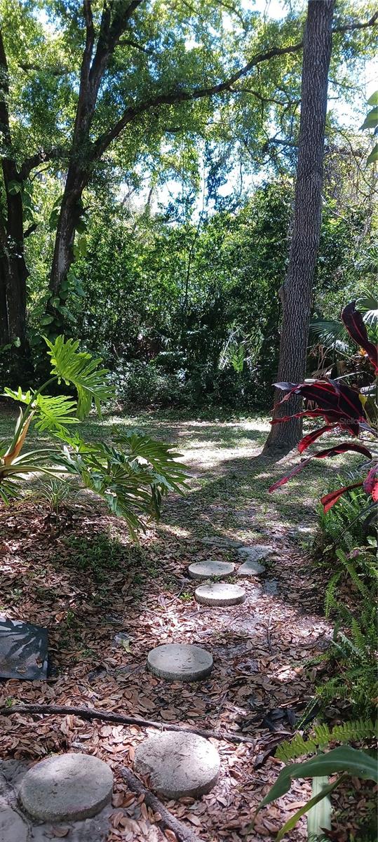 3295 FOX CHASE #105, PALM HARBOR, FL — photo 26