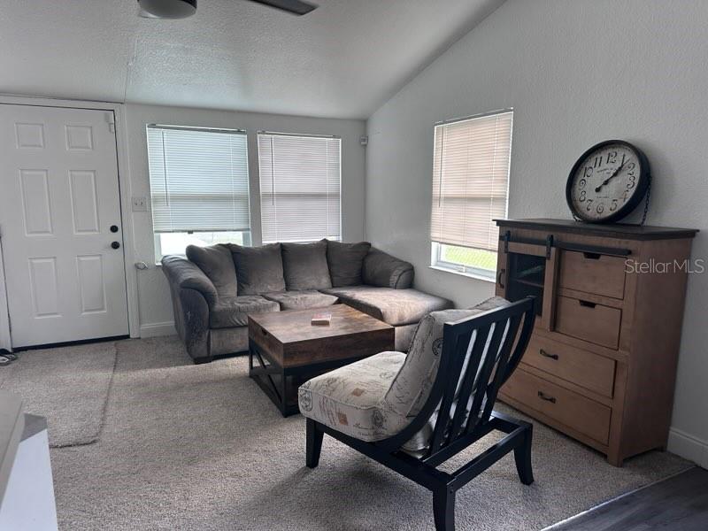 10030 INGRAM AVE, APOPKA, FL — photo 7