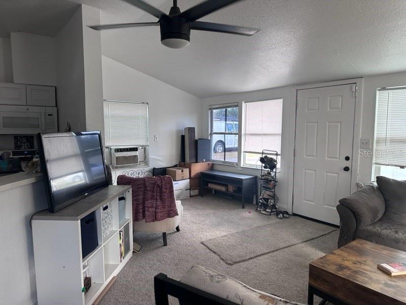 10030 INGRAM AVE, APOPKA, FL — photo 8