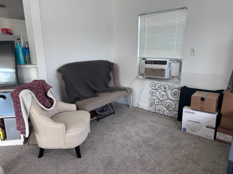 10030 INGRAM AVE, APOPKA, FL — photo 10