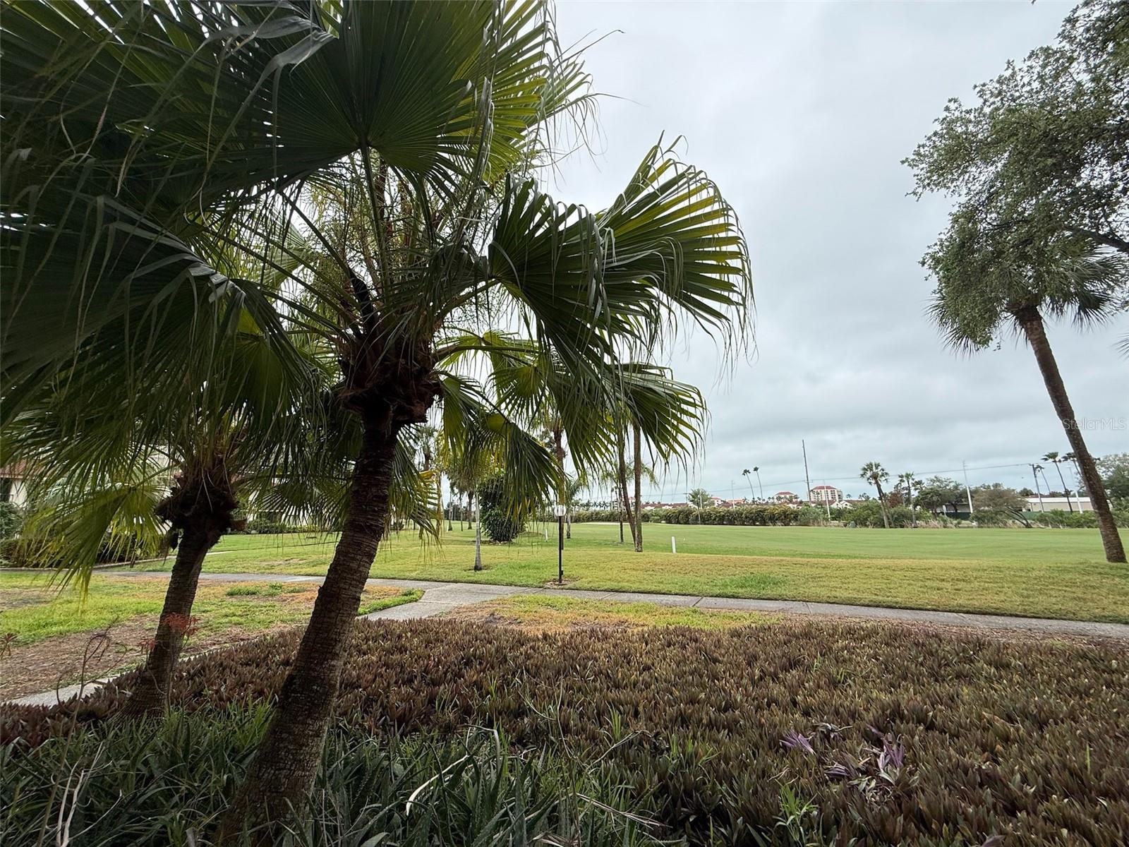 6219 PALMA DEL MAR BLVD S #105, ST PETERSBURG, FL — photo 14