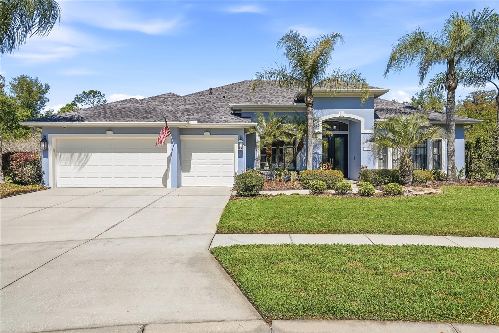 7101 HATPIN LOOP, WESLEY CHAPEL, FL