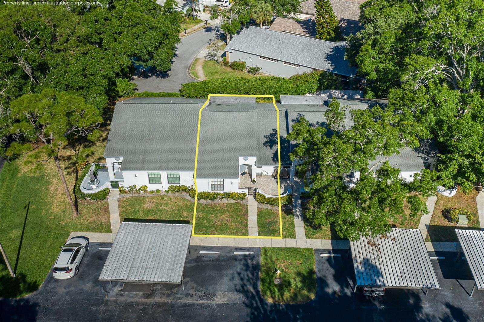 3843 GOLDFINCH CT, PALM HARBOR, FL — photo 19