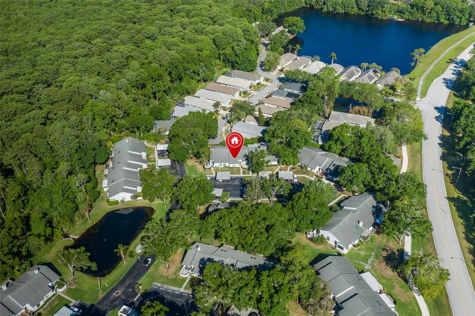 3843 GOLDFINCH CT, PALM HARBOR, FL — photo 20