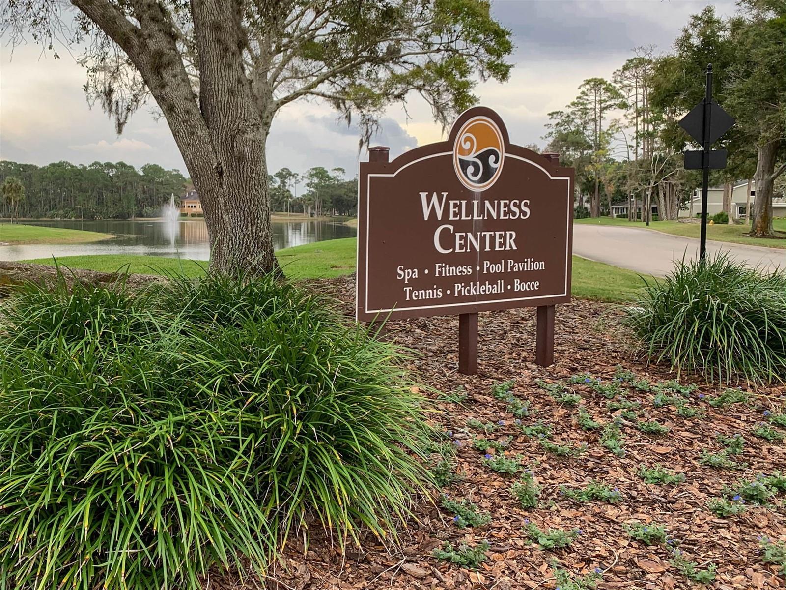 60 VILLA LAGO LN, ORMOND BEACH, FL — photo 97