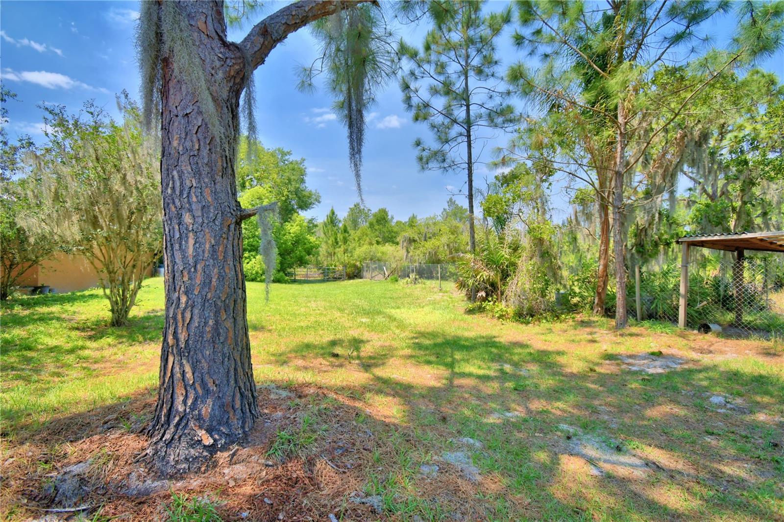 760 MCCLELLAN RD, FROSTPROOF, FL — photo 58
