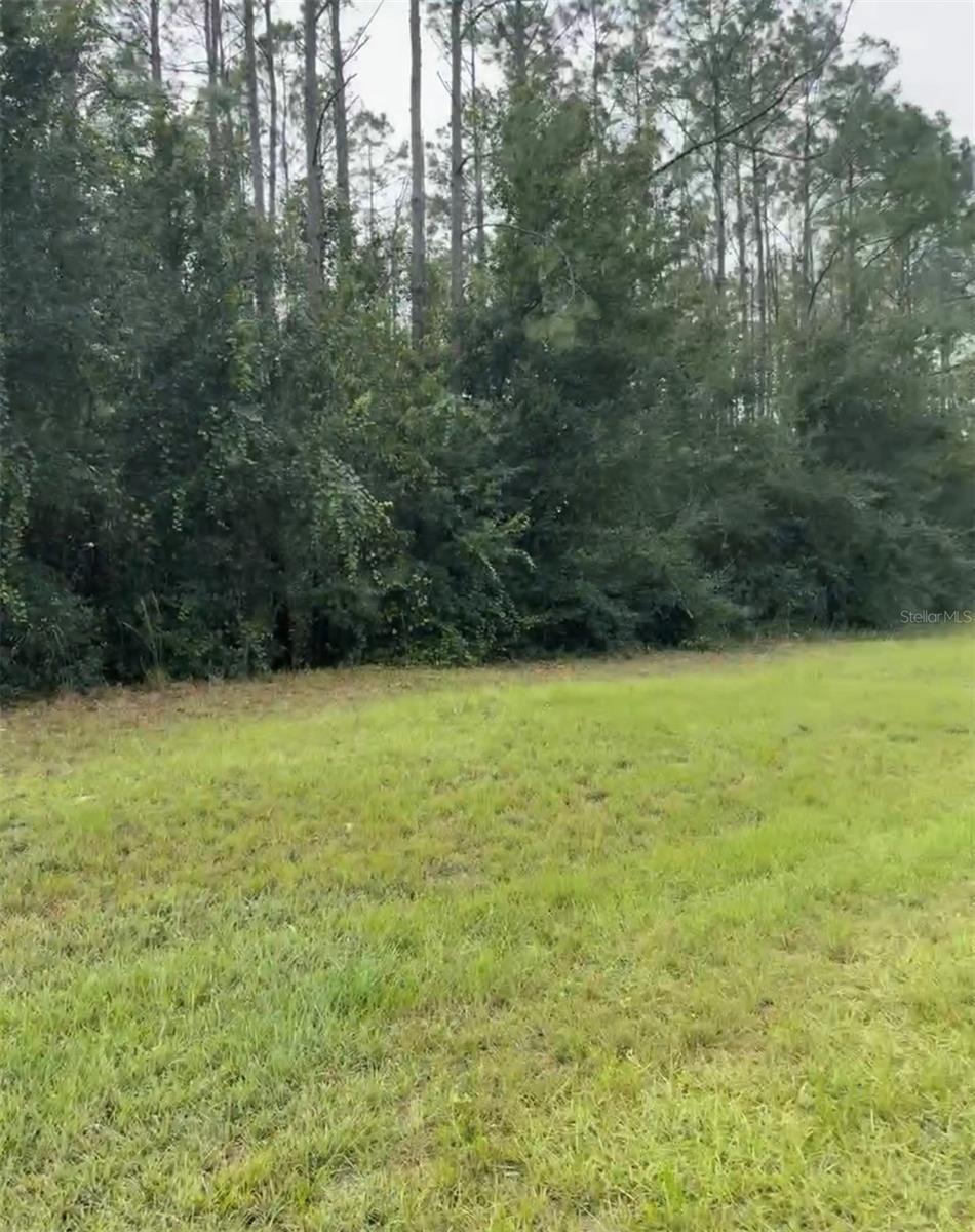 LAKE SMITH RD, UMATILLA, FL — photo 3