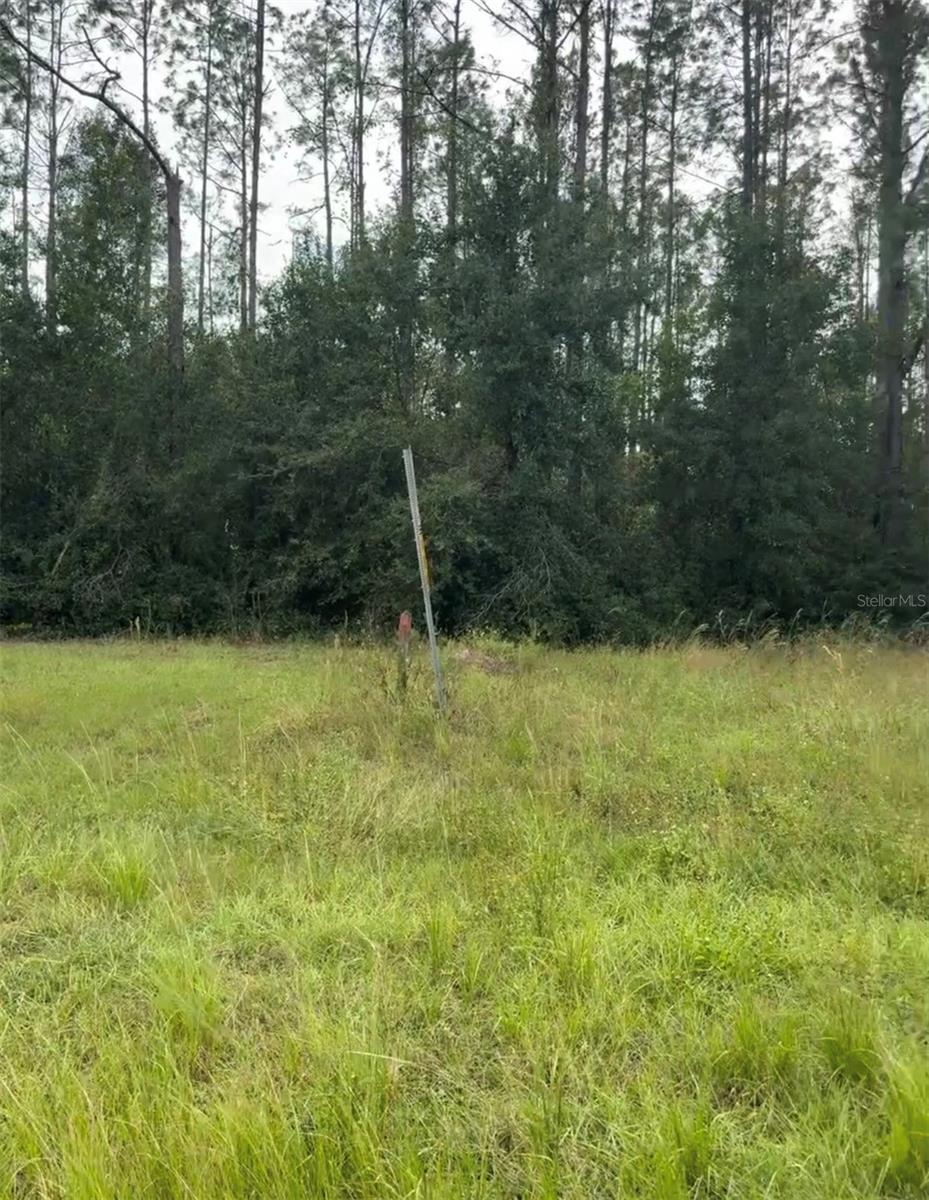 LAKE SMITH RD, UMATILLA, FL — photo 5