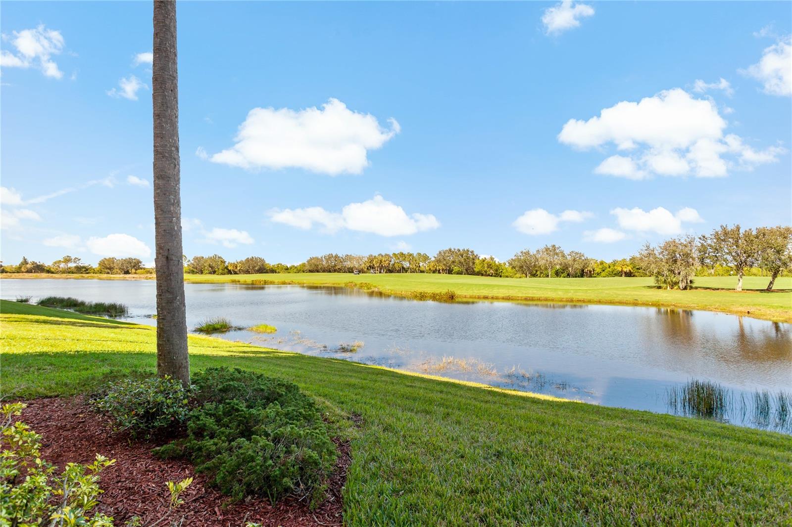 7121 RIVER HAMMOCK DR #102, BRADENTON, FL — photo 3
