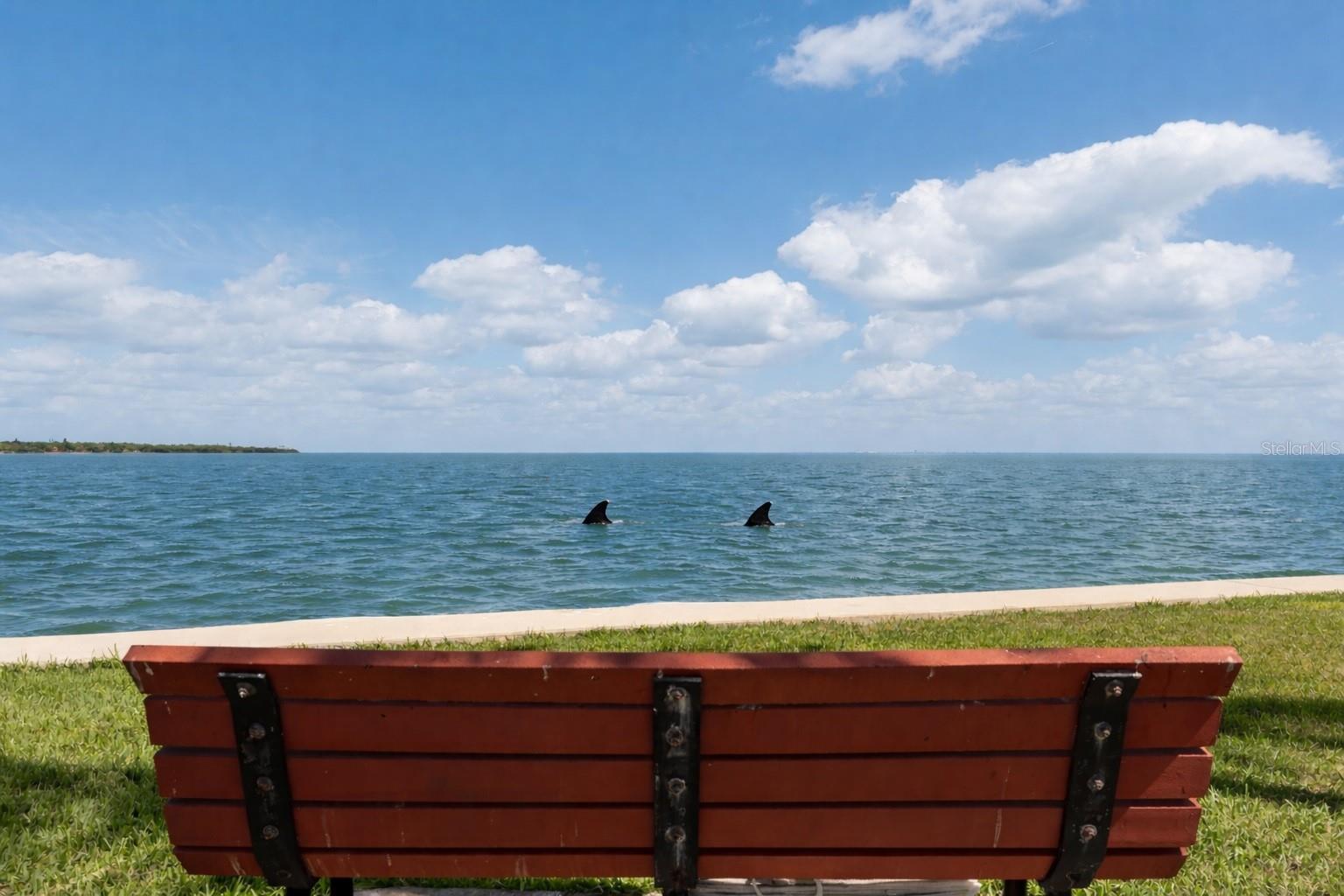7540 SUNSHINE SKYWAY LN S #T35, ST PETERSBURG, FL — photo 11