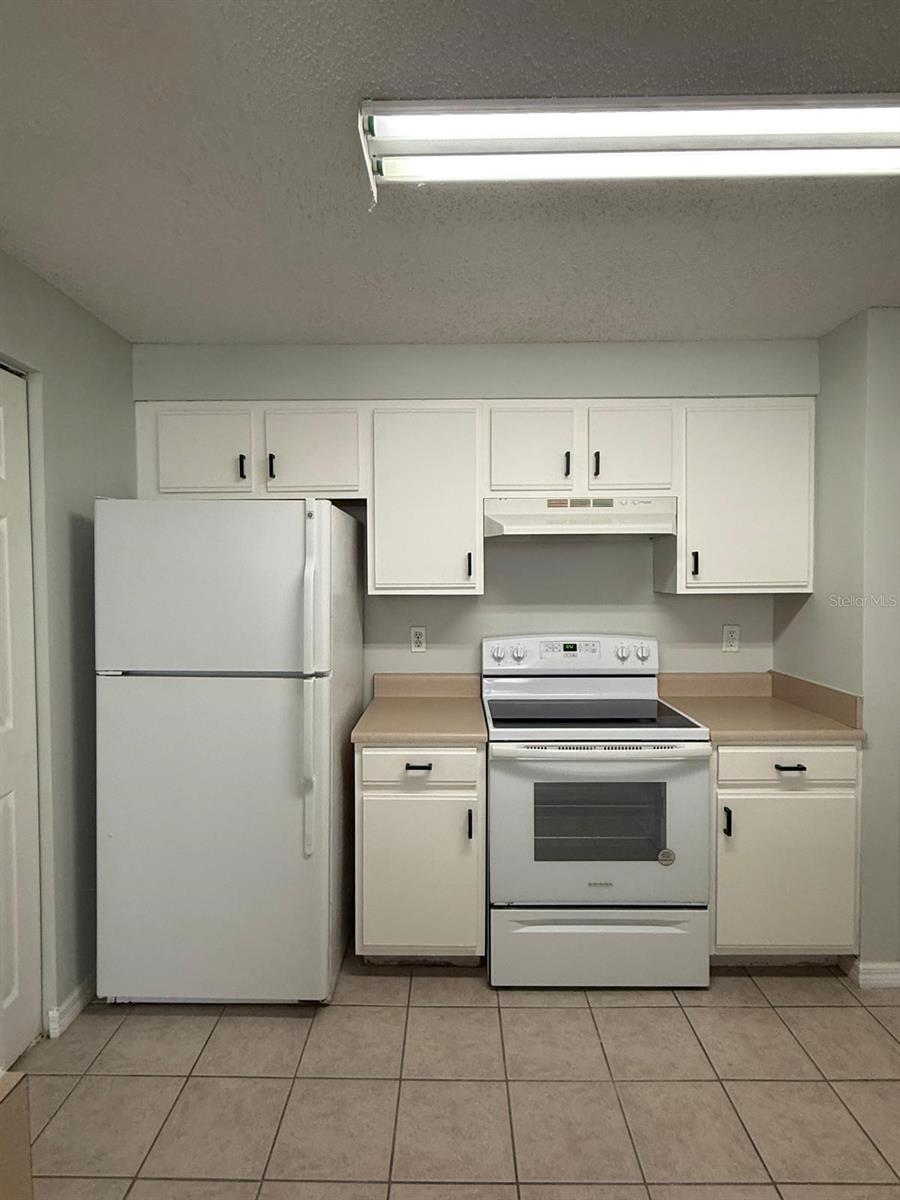 10831 WINDSOR WALK DR #311, ORLANDO, FL — photo 5