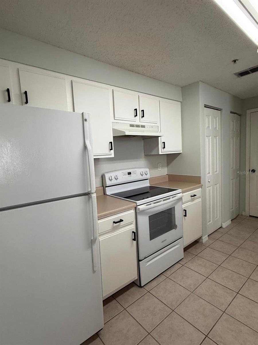10831 WINDSOR WALK DR #311, ORLANDO, FL — photo 10