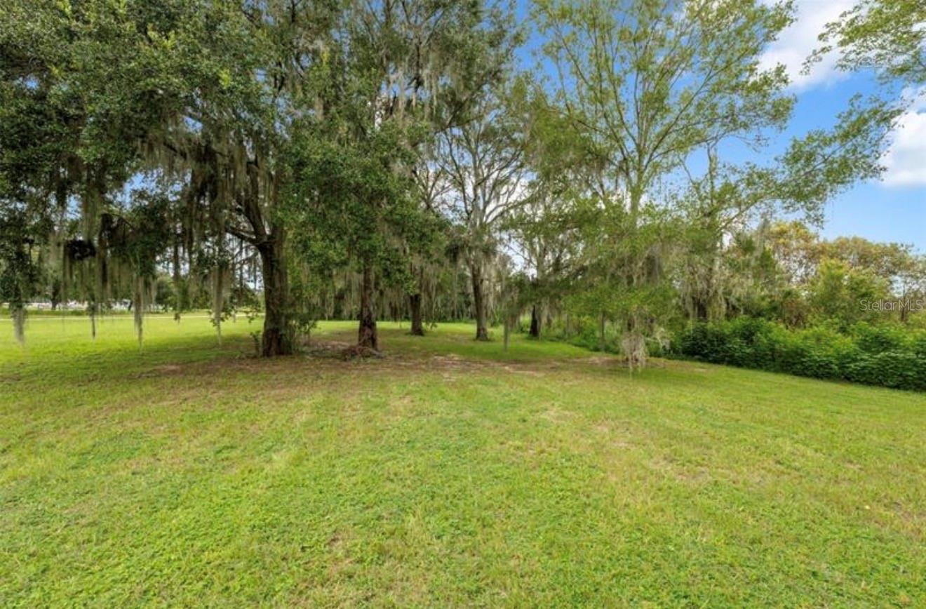 9028 MCKENDREE RD, WESLEY CHAPEL, FL — photo 3