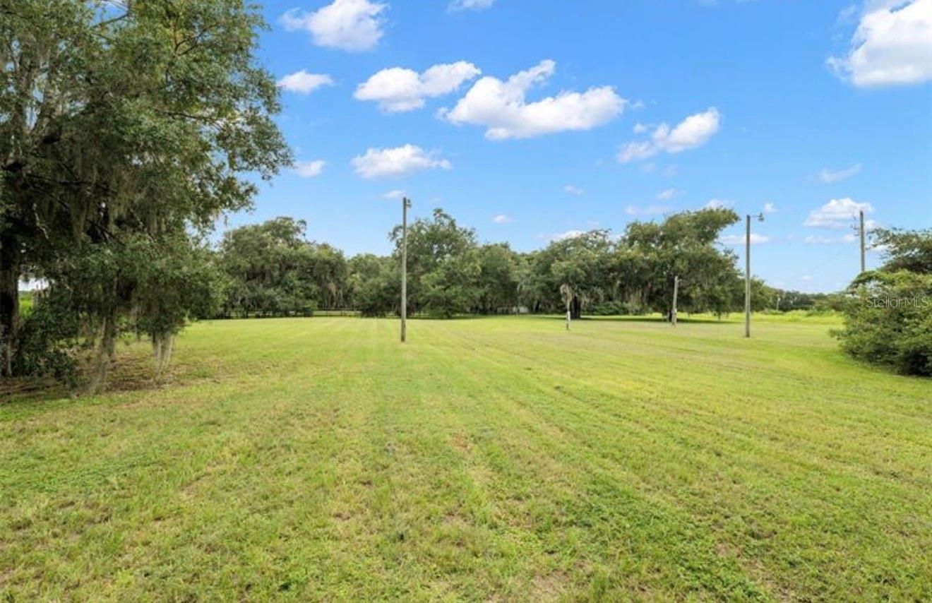 9028 MCKENDREE RD, WESLEY CHAPEL, FL — photo 4