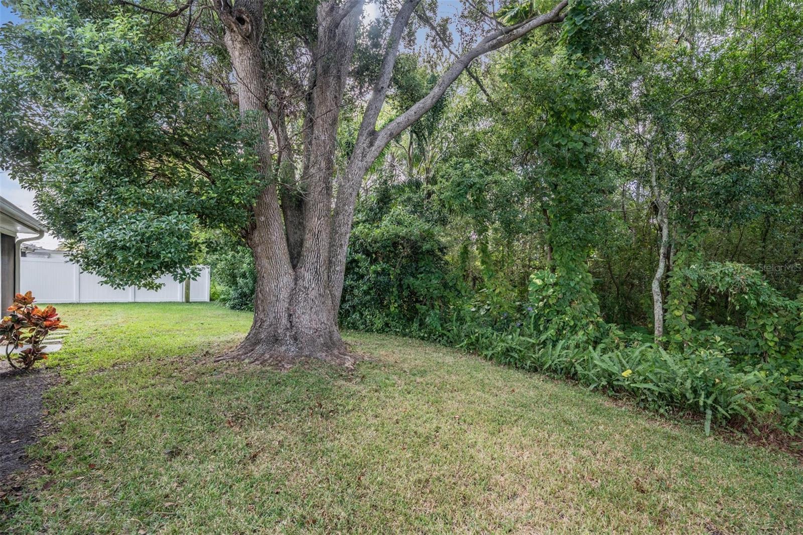 7916 YUCCA DR, NEW PORT RICHEY, FL — photo 22