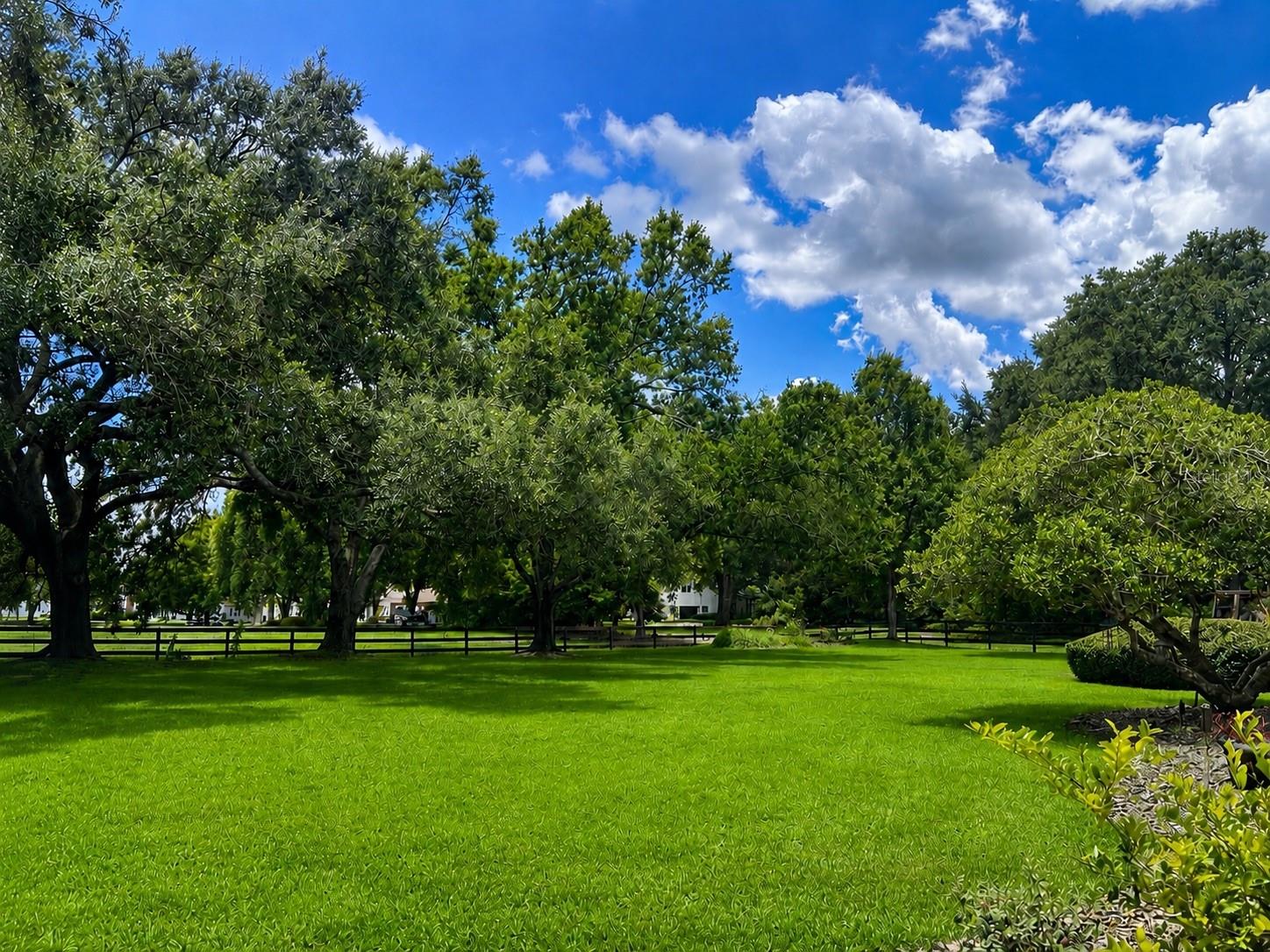 14140 COUNTRY ESTATE DR, WINTER GARDEN, FL — photo 61