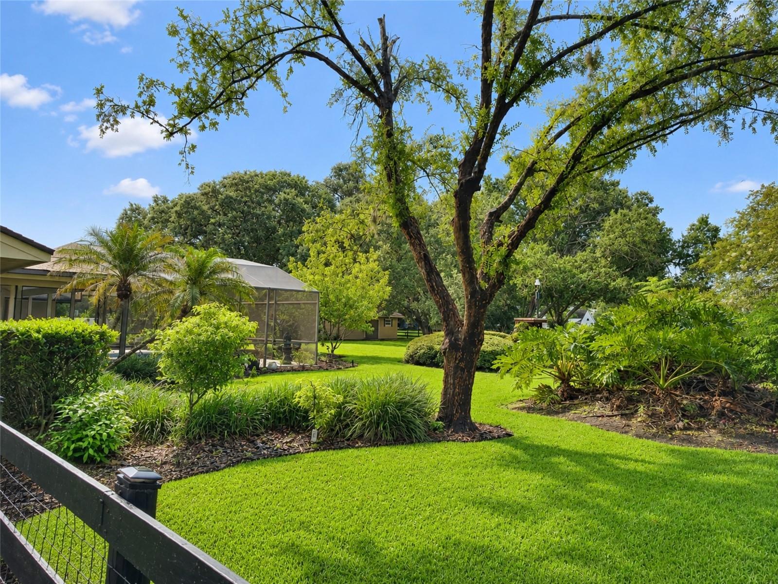 14140 COUNTRY ESTATE DR, WINTER GARDEN, FL — photo 64
