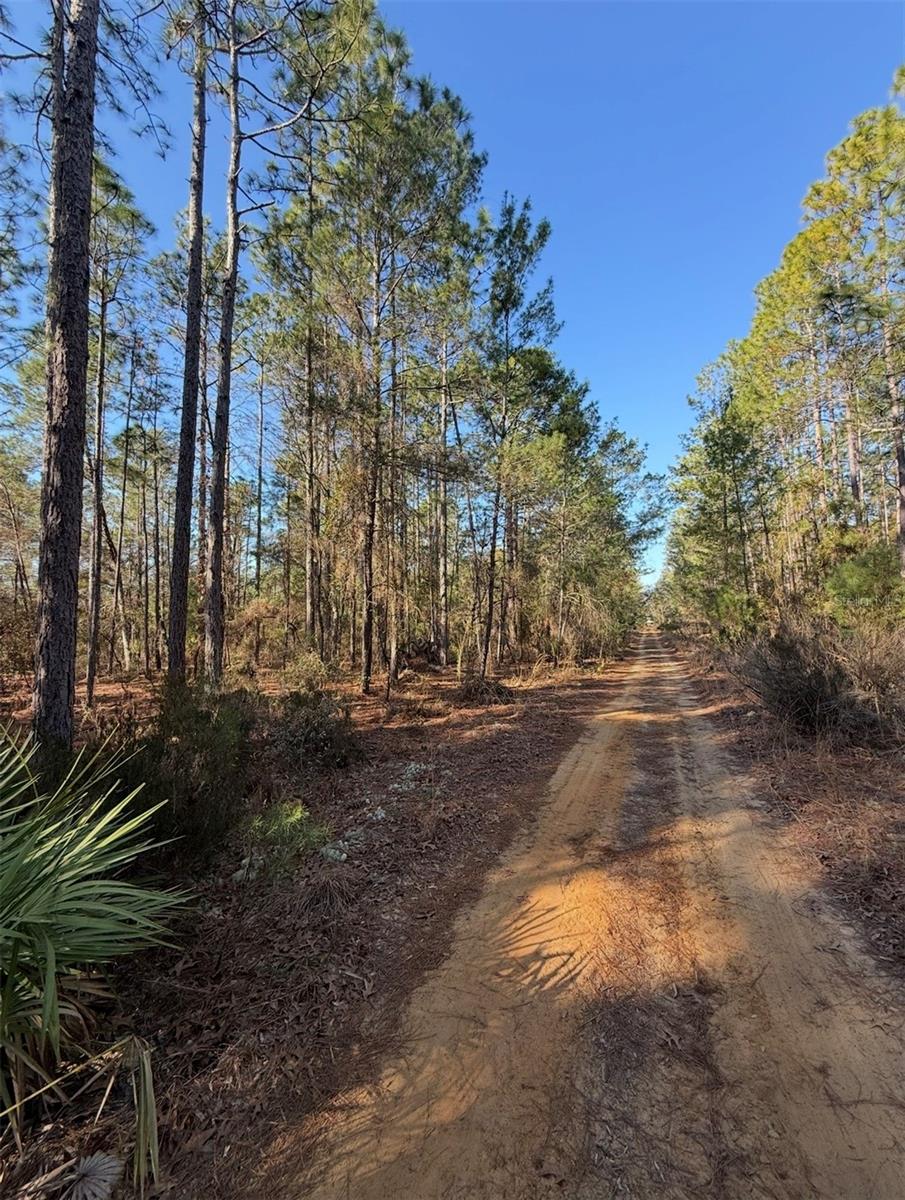 TBT 5TH WAY, INTERLACHEN, FL — photo 7