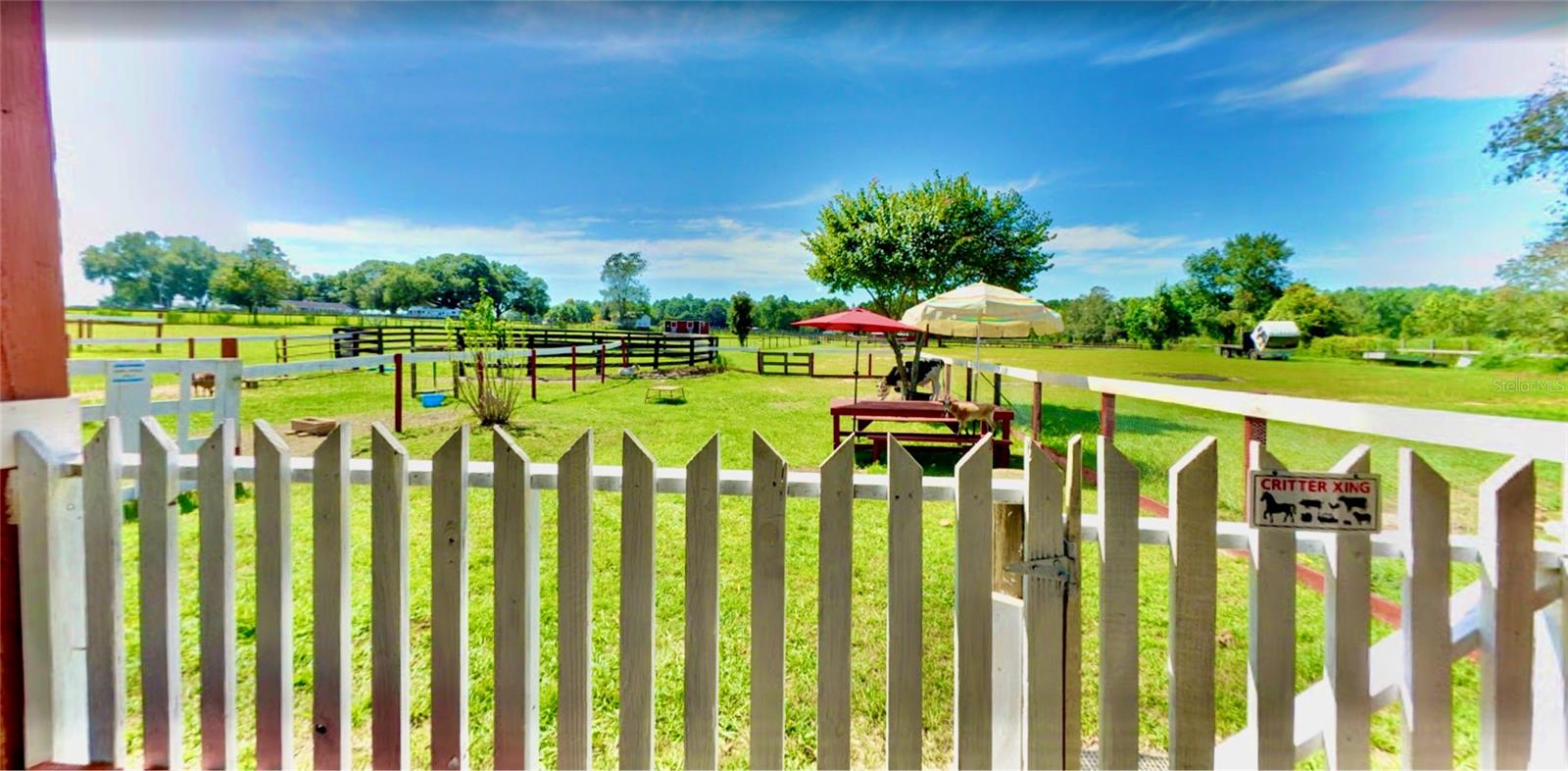 11150 W HIGHWAY 40, OCALA, FL — photo 4