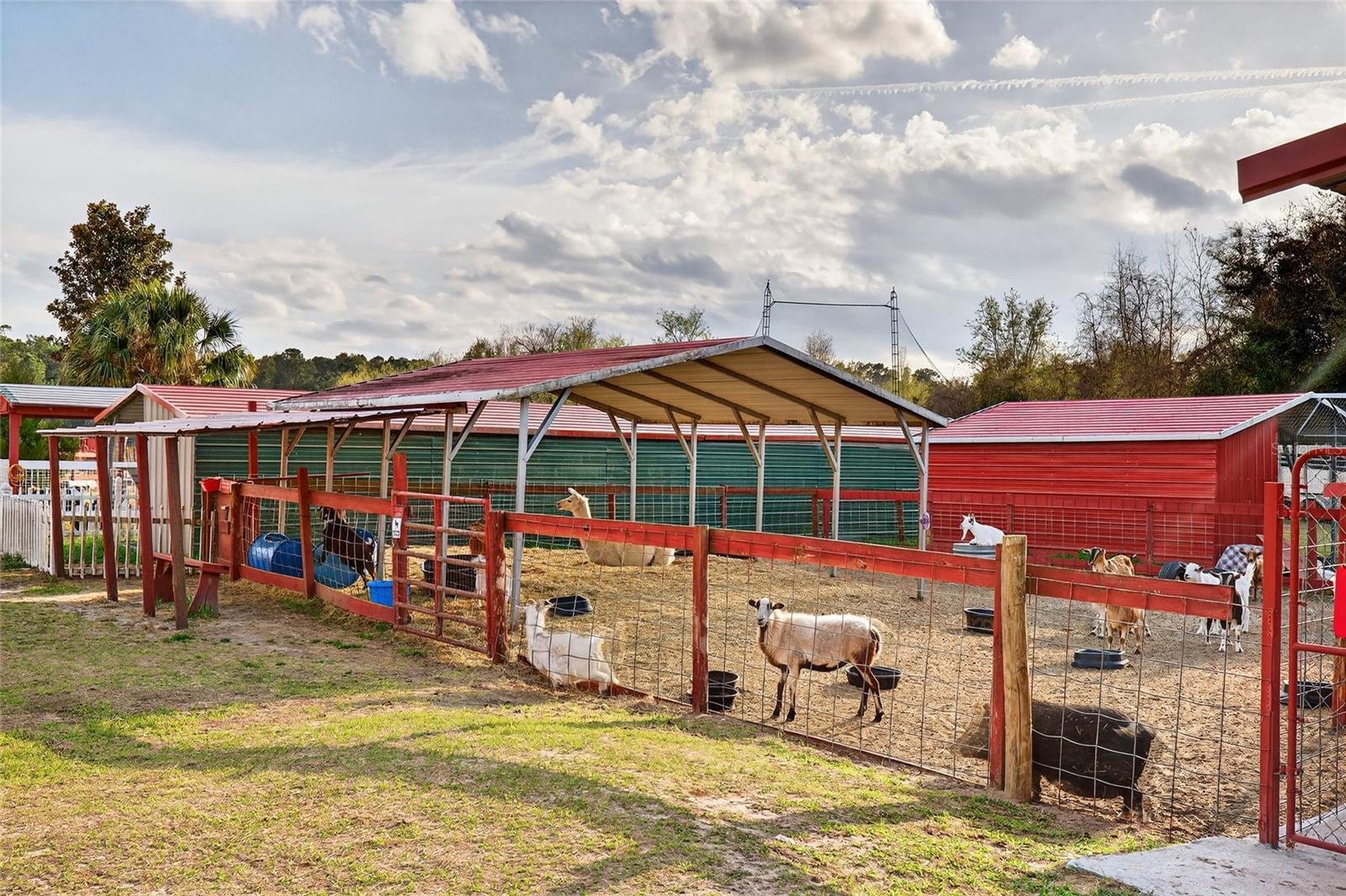 11150 W HIGHWAY 40, OCALA, FL — photo 32