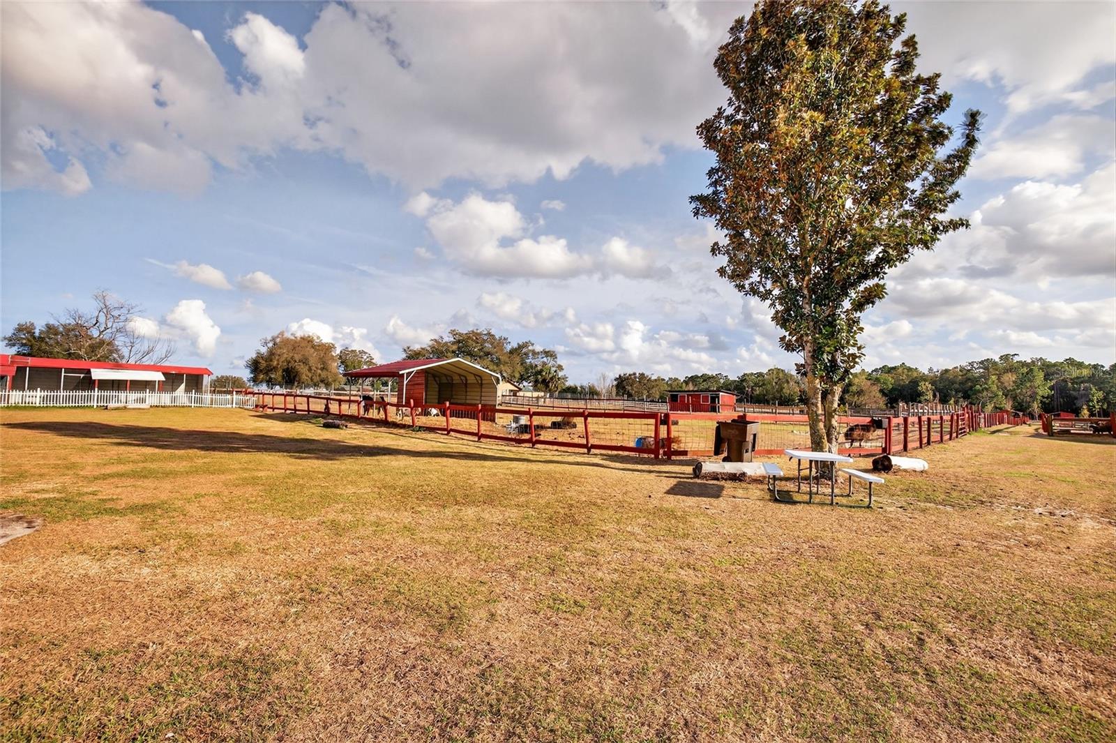 11150 W HIGHWAY 40, OCALA, FL — photo 39