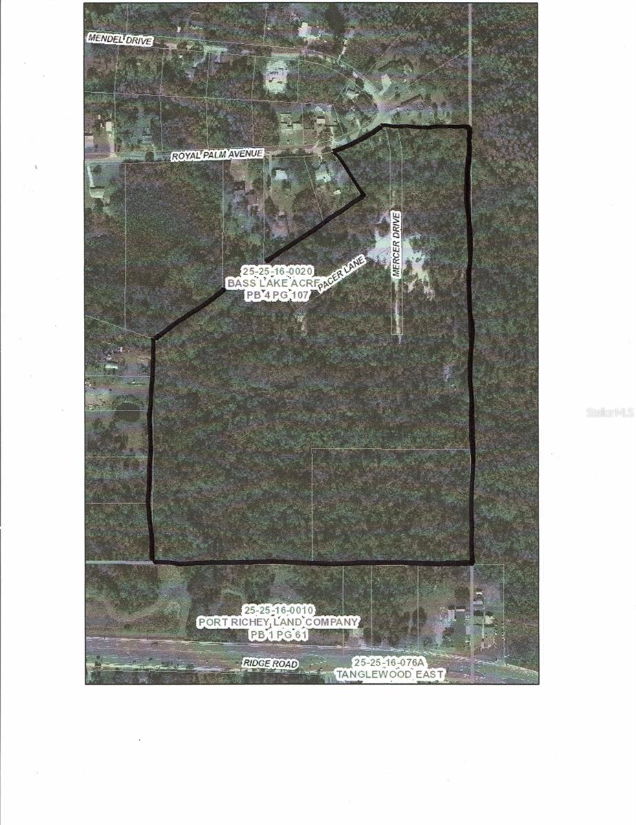 0 ROYAL PALM AVE, NEW PORT RICHEY, FL