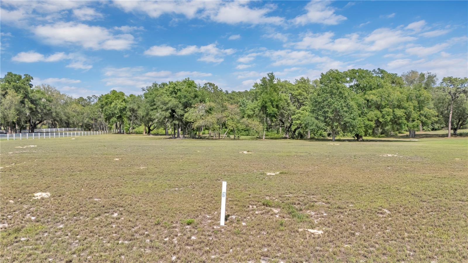 LOT 67, GRAND OAK LN, TAVARES, FL — photo 13