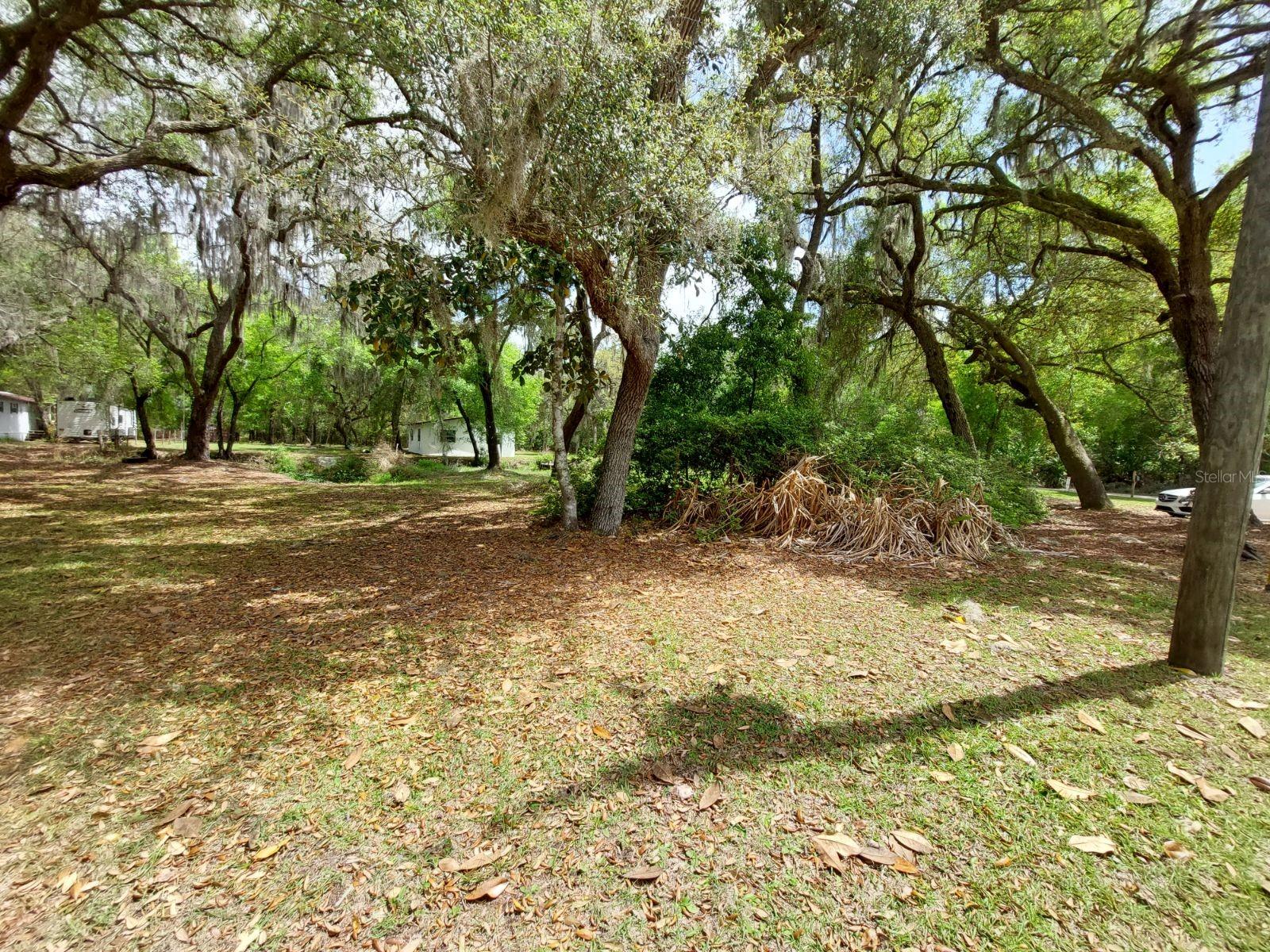 18625 NE 238TH TER, FORT MC COY, FL