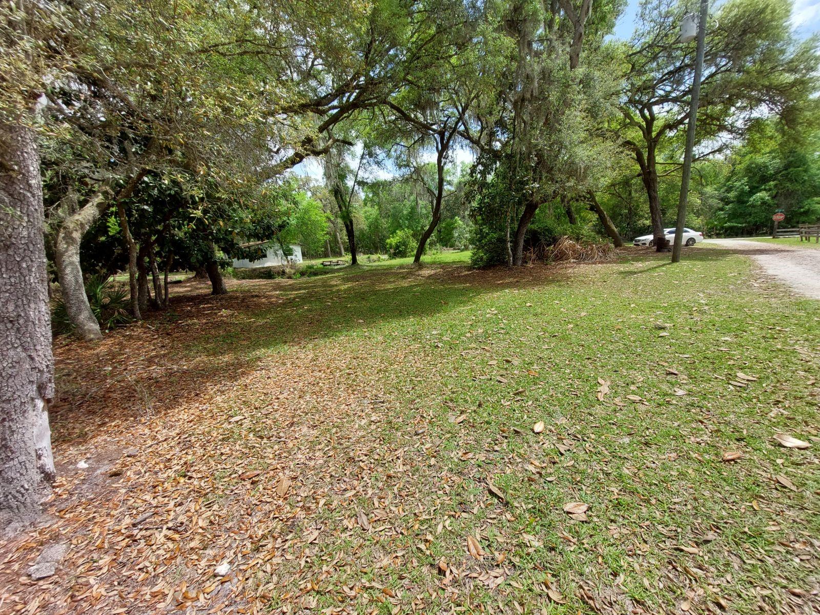 18625 NE 238TH TER, FORT MC COY, FL — photo 3