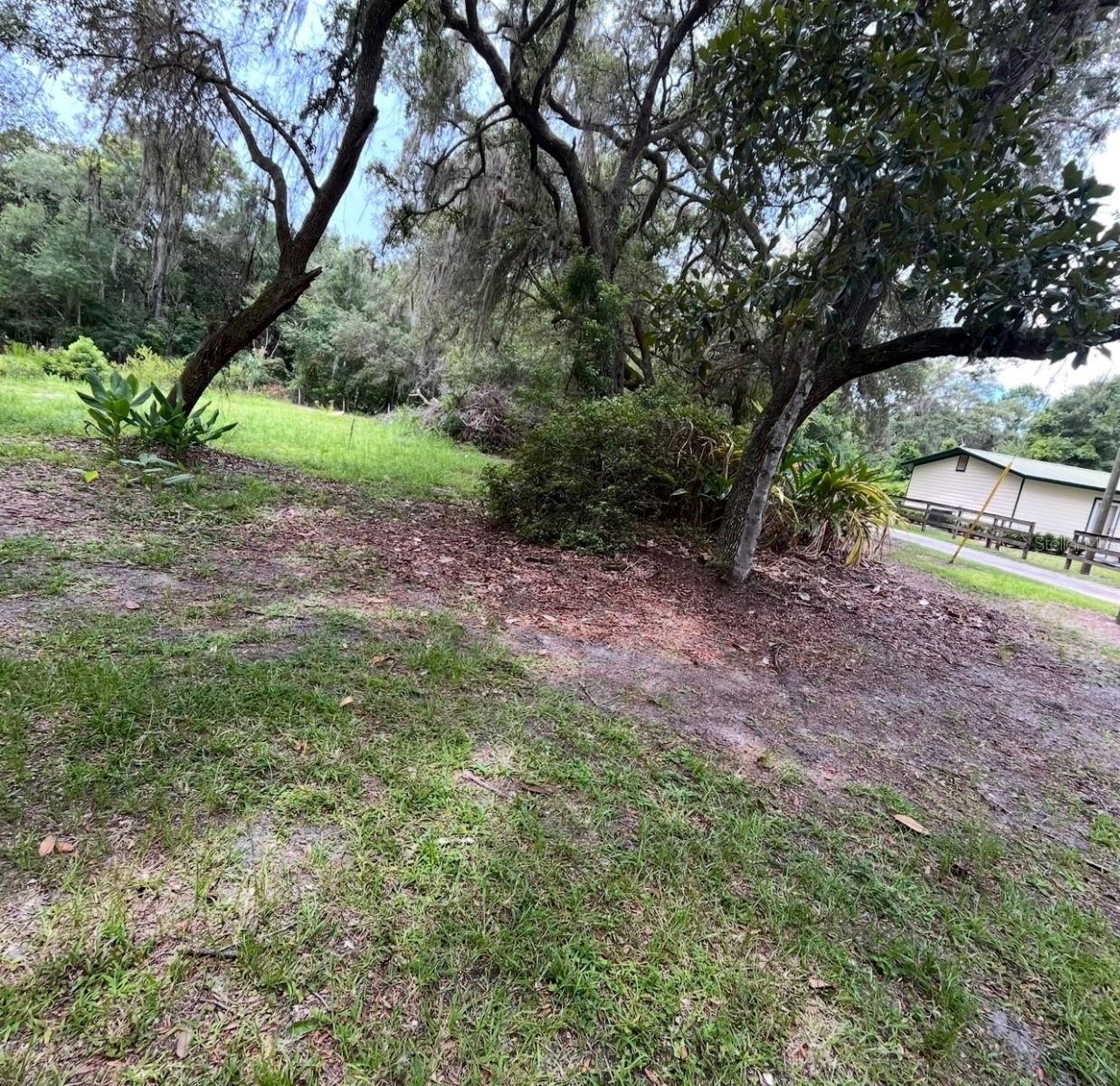 18625 NE 238TH TER, FORT MC COY, FL — photo 6